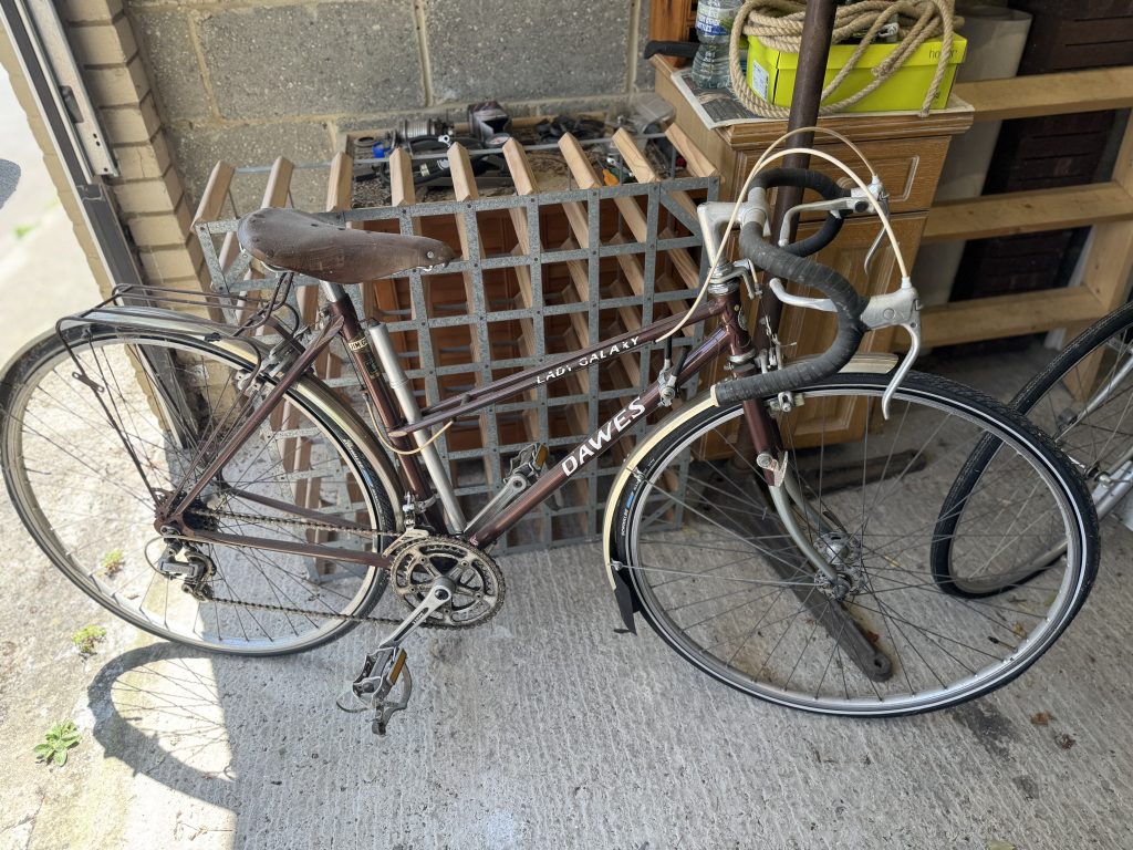 Early Ladies Dawes Galaxy