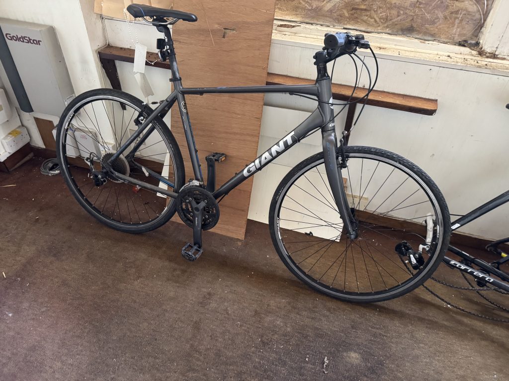 Giant Alloy Gravel Bike